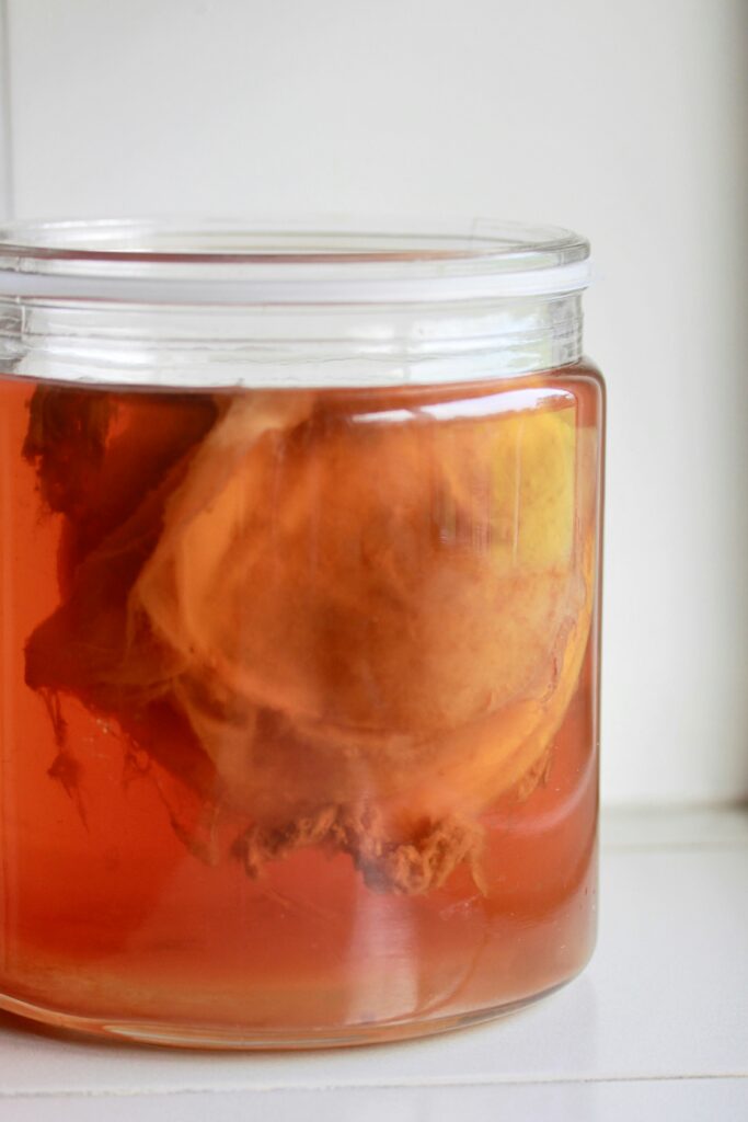 Hoe kan je kombucha maken?