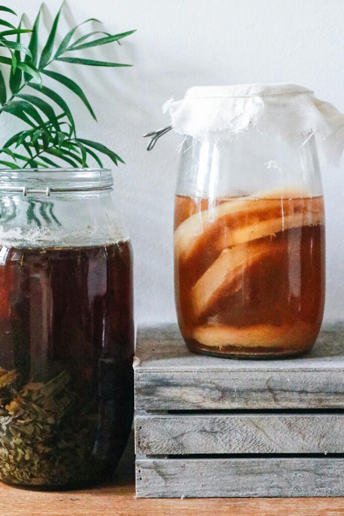 hoe kan je kombucha maken