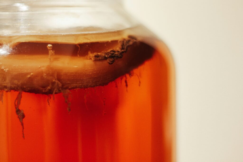 Hoe kan je kombucha maken?