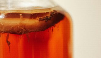 Hoe kan je kombucha maken?