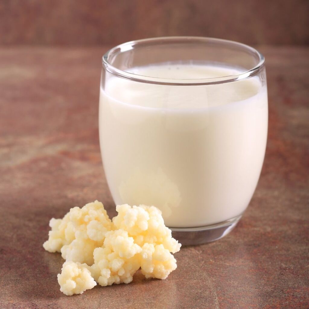 melk kefir maken