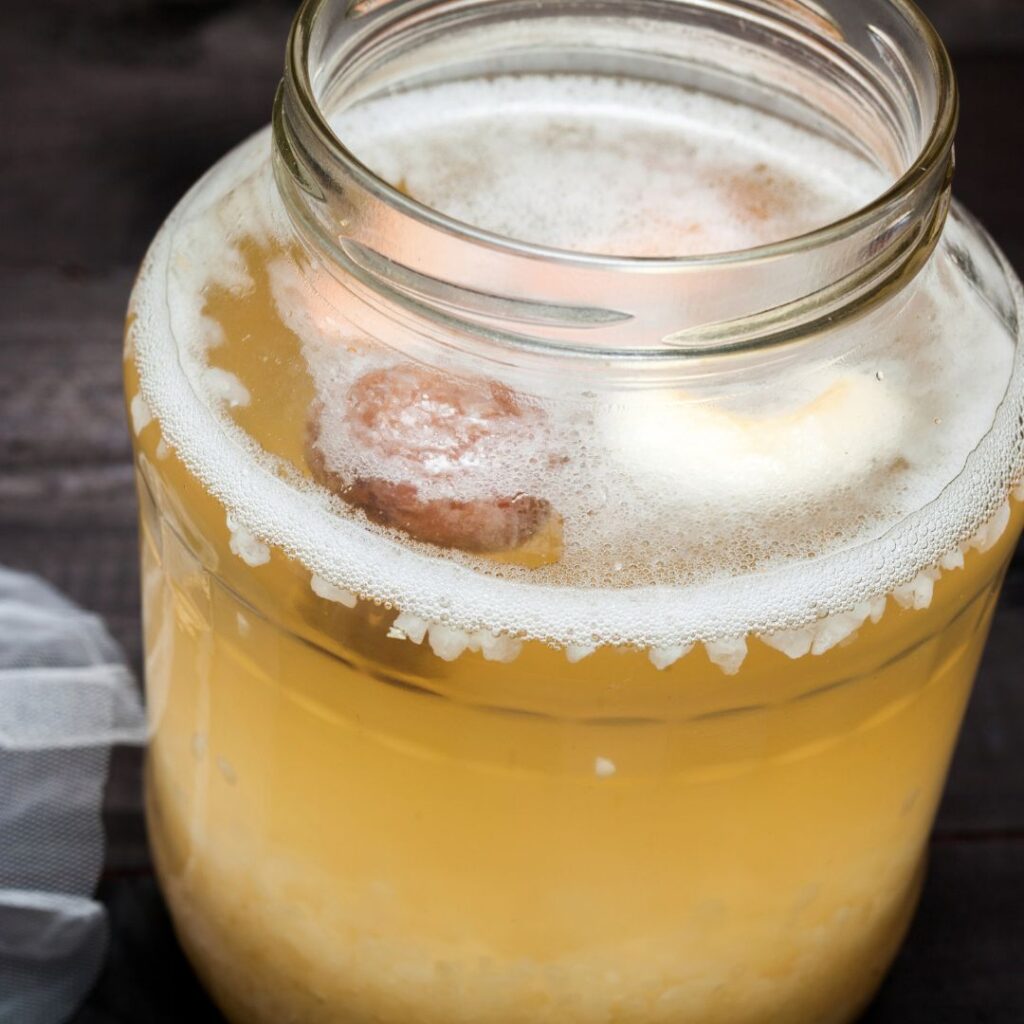 water kefir met gedroogd fruit