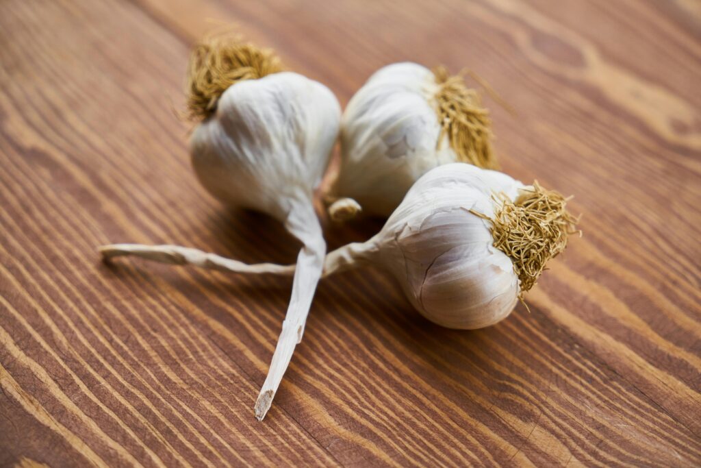 knoflook fermenteren