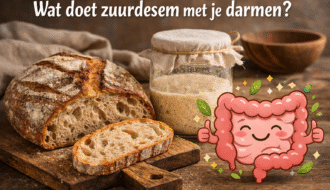 zuurdesem darmen