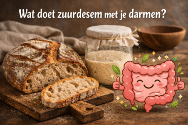 zuurdesem darmen