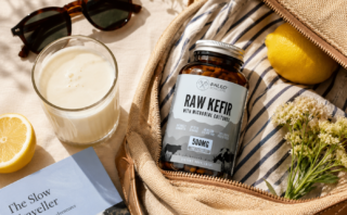 kefir probiotica