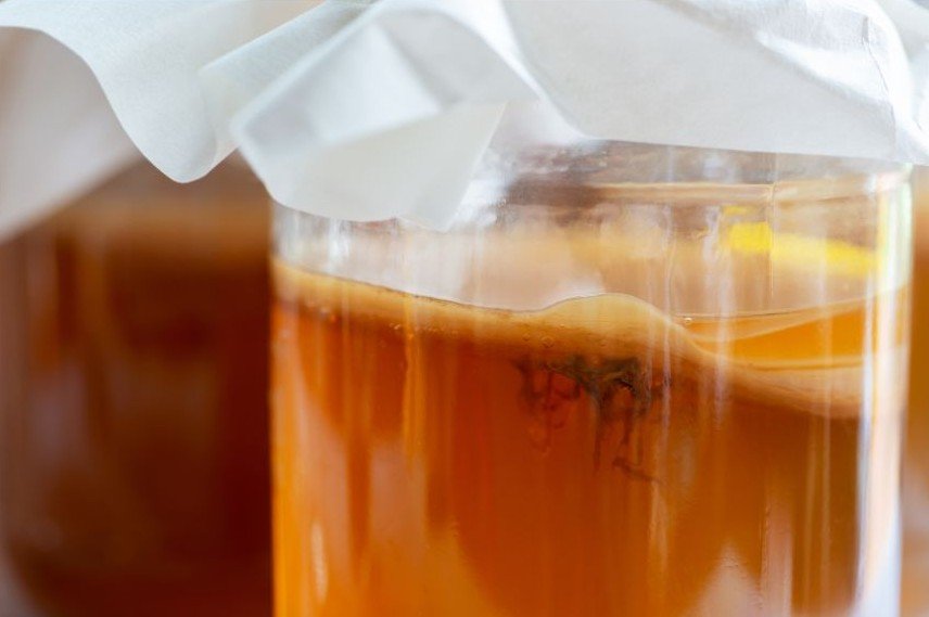 kombucha scoby giststrengen
